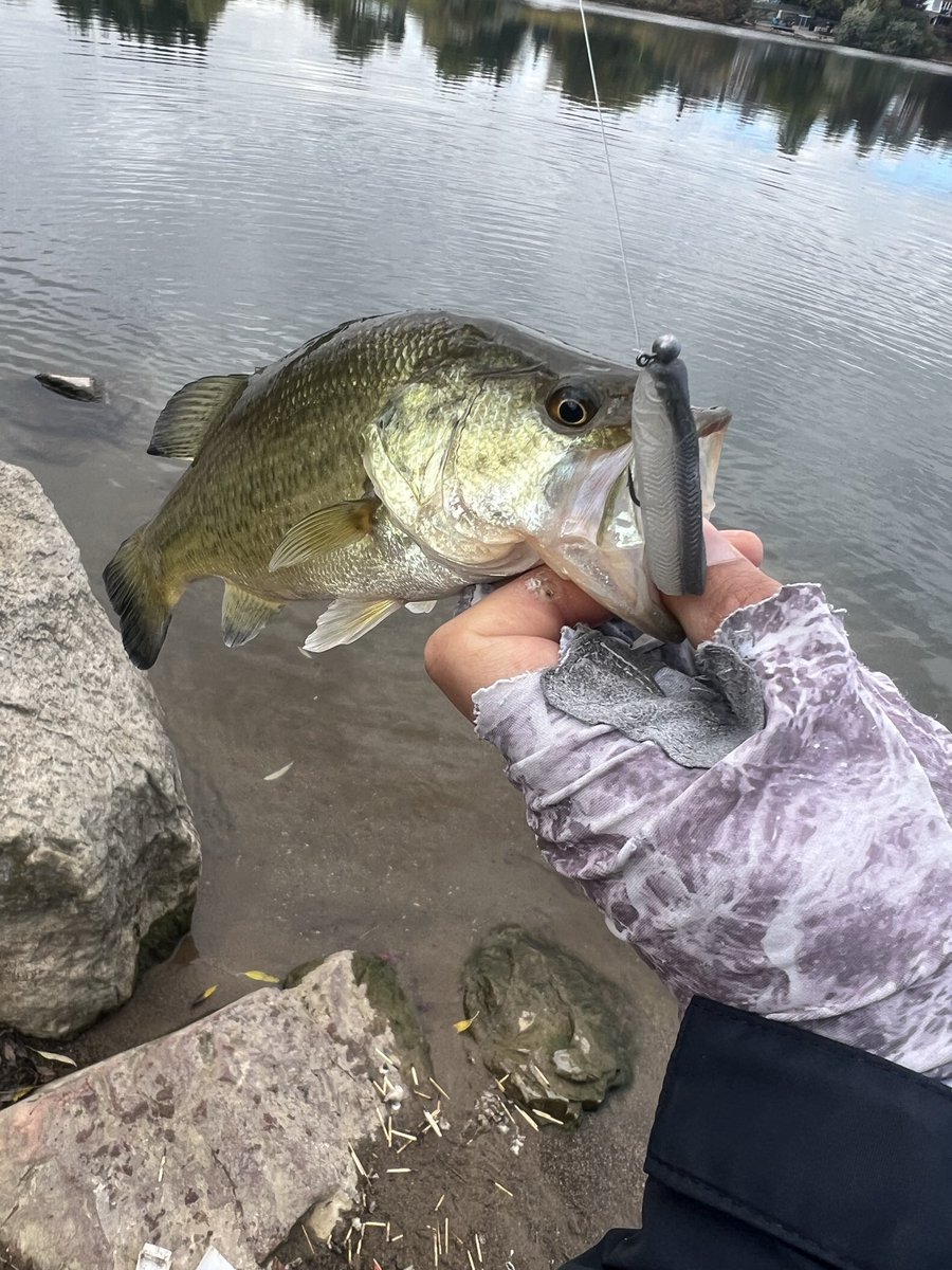 釣り　川　湖沼 カナダ・スキーナ水系のスティールヘッド釣行のご報告)) : Fly