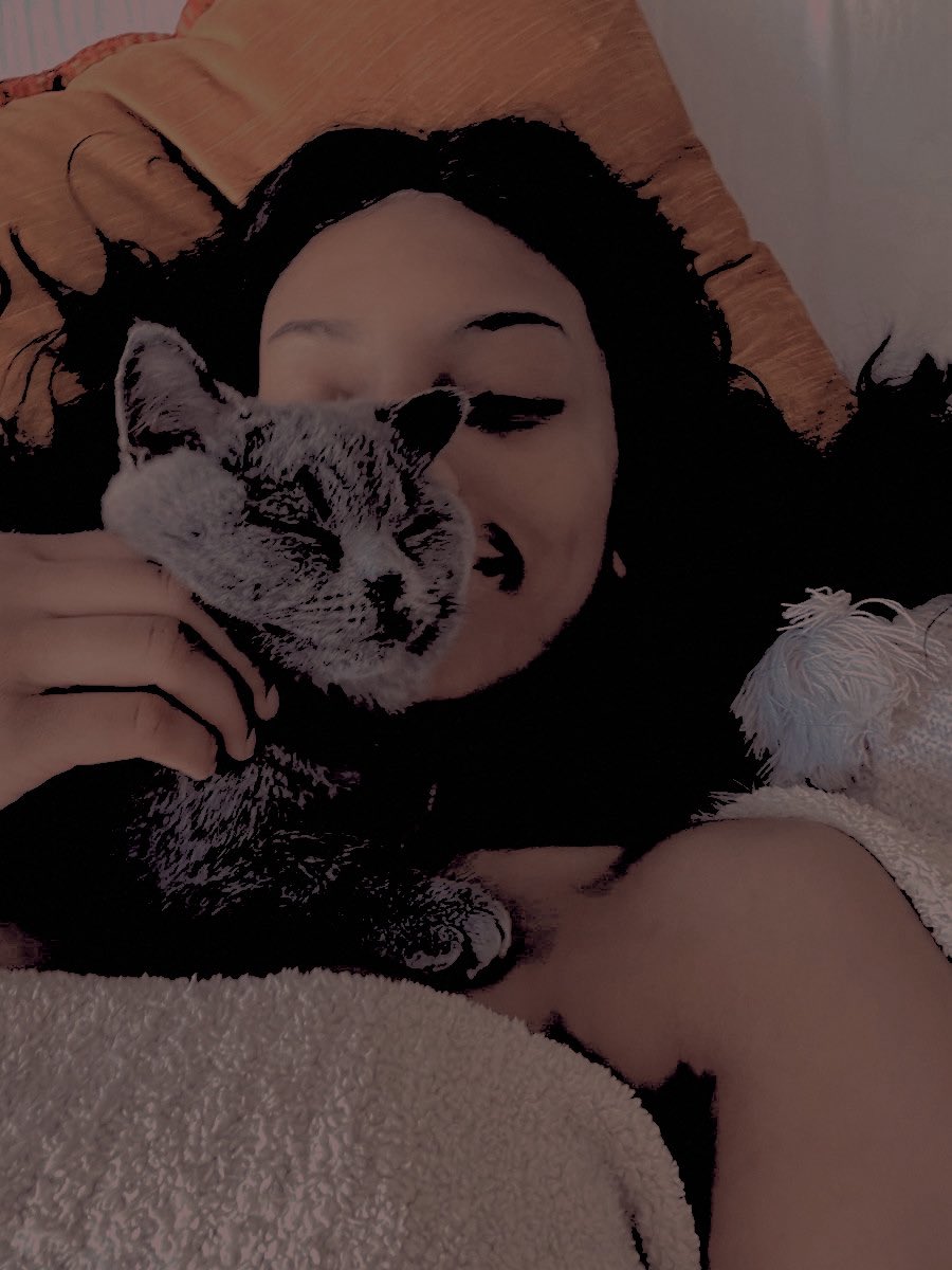 pinkedtome's tweet photo. ⠀            
                                        good morning from this cute cat momma. https://t.co/mT9fwVTzvs