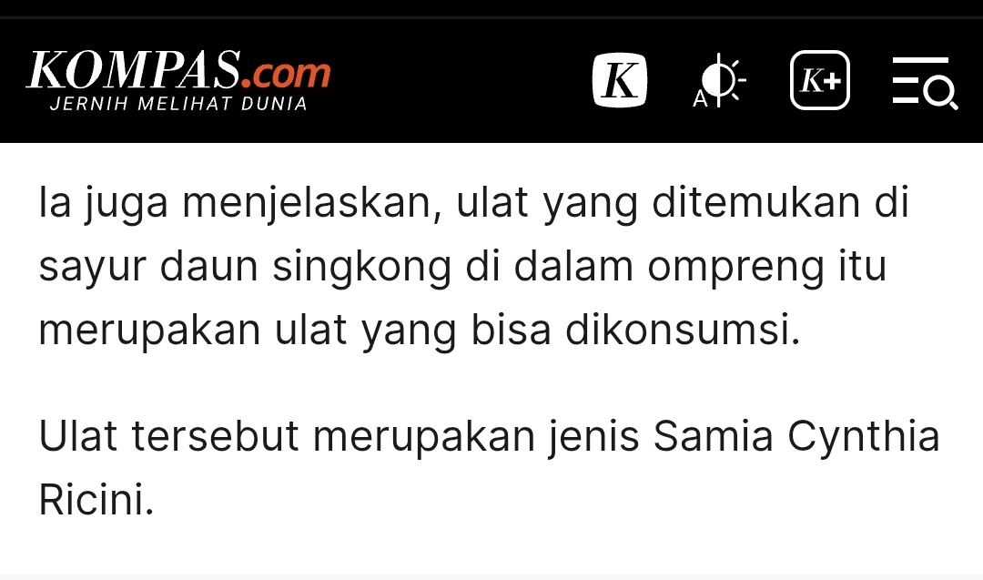 dodisegrovee's tweet photo. @kompascom Nama Kepala SPPG Gili Timur: Diandra Dieva Pertiwi 
  
Nama ulat: Samia cynthia ricini  
  
Tapi lucunya, Kepala SPPG-nya sendiri tidak memberi contoh dengan ikut memakan Ulatnya. 🙂‍↕️ https://t.co/QOd5qmeLlz
