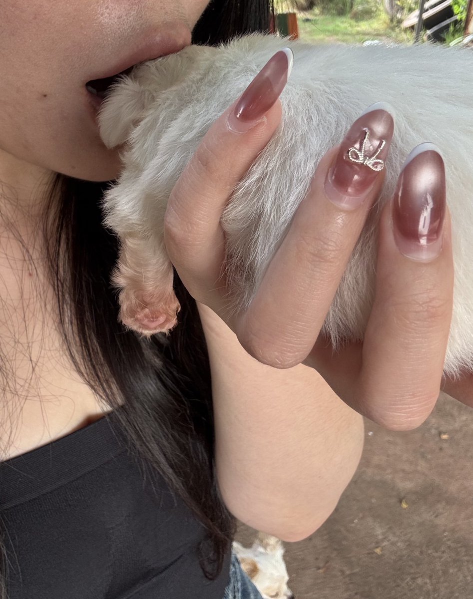 ก็ไม่มีอะไรมาก