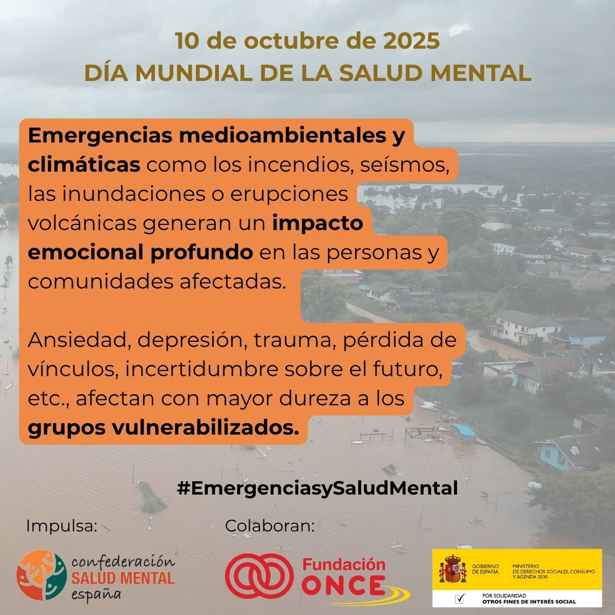 SALUD MENTAL ESPAÑA tweet media