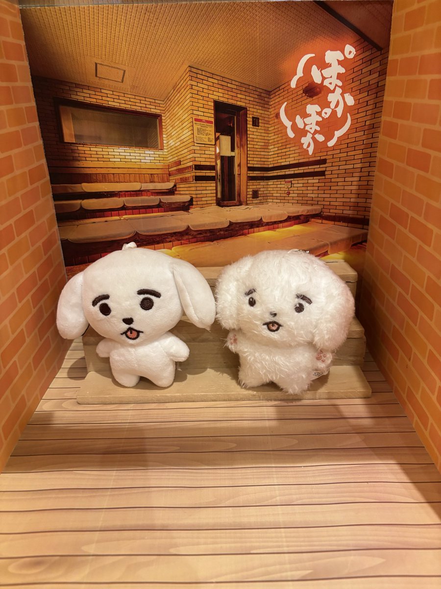 MT95735904's tweet photo. 今日は温活♨️
ペックも一緒🐶🐶💕

帰り際にぬい用の撮影スポット発見👀
行きも通ったけど、気がつかなかった😂 https://t.co/r4pxoSnNad