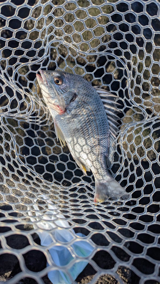 Yuki (@yuki530931) / Posts / X