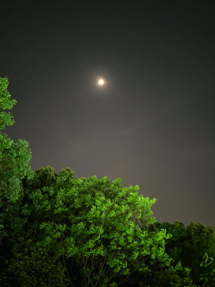 Joncodards's tweet image. 水辺の夜景って、なんだかロマンチックだね💫💞