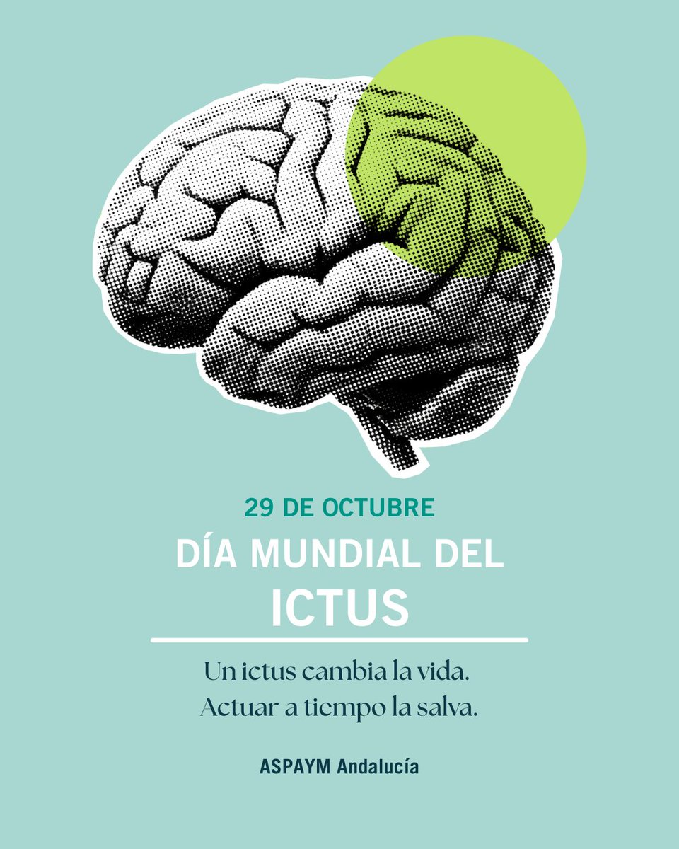 🧠 Hoy, #DíaMundialDelIctus, recordamos que cada año más de 120.000 personas en España sufren un ictus.

Las secuelas físicas pueden ser graves, pero la detección precoz y la rehabilitación salvan vidas y reducen la discapacidad. 💚

#ASPAYMAndalucía #DiscapacidadFísica #Ictus