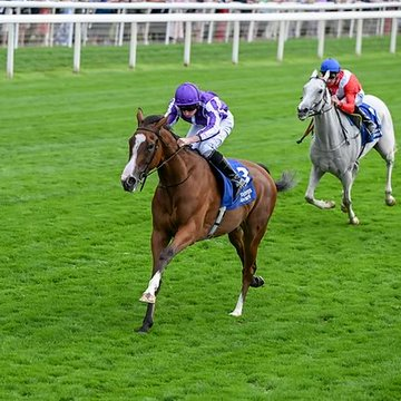 blindadosalas1's tweet image. #Hipismo Ante la posibilidad de que SOVEREIGNTY 🇺🇸 sea retirado de la #BCClassic MINNIE HAUK 🇮🇪 tomaría el protagonismo, gracias a su espectacular 2025 donde ganó hasta cuatro eventos de #GradeOne antes de caer con todos los honores en el #PrixDeLArcDeTriomphe Correrá la #BCTurf