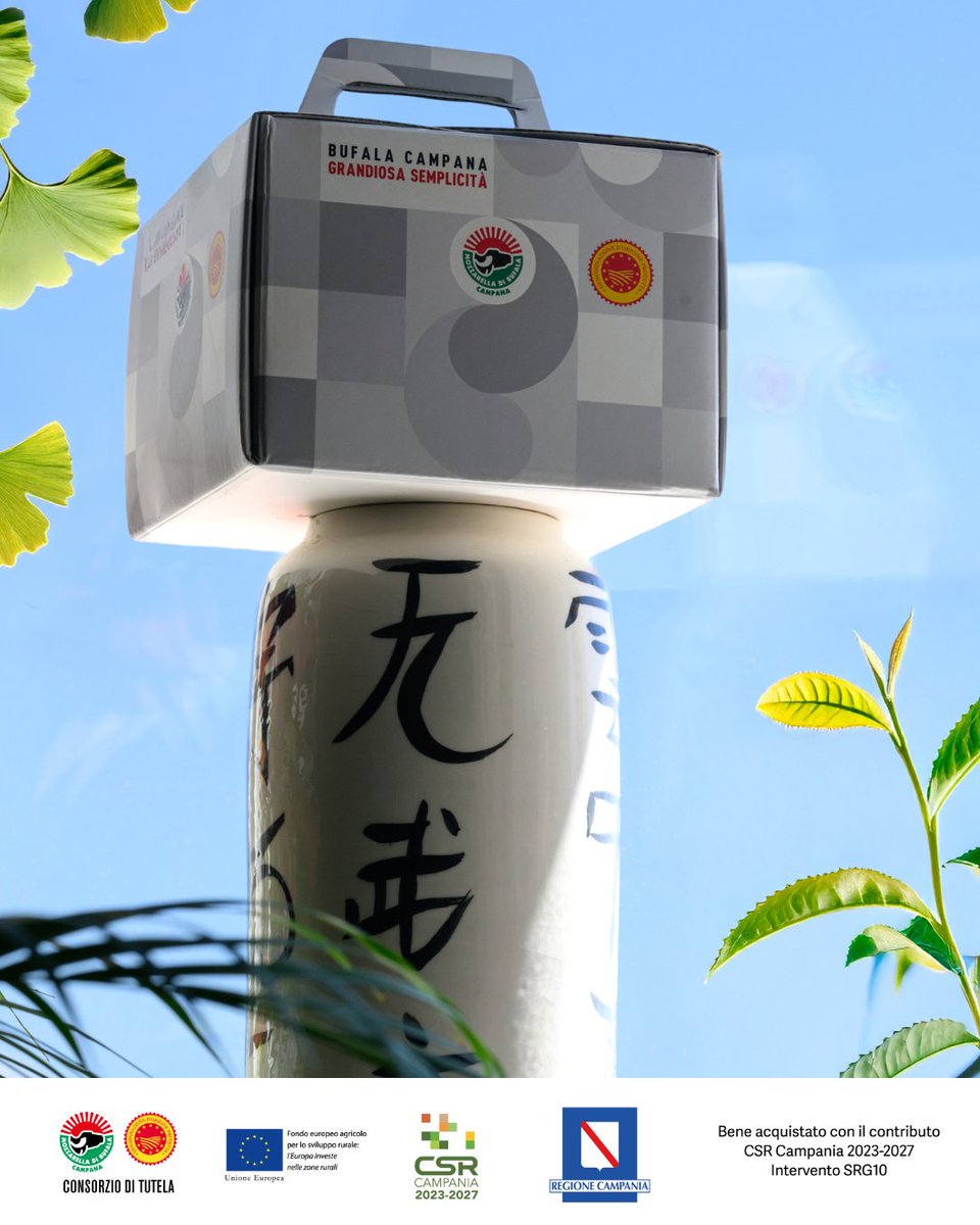 C’è chi mette in valigia i souvenir.
E chi porta con sé la Mozzarella di Bufala Campana DOP. 🤍
Perché ogni viaggio merita un bagaglio di gusto.

#mozzarelladop #dop #mozzarelladibufalacampana #bufalacampana