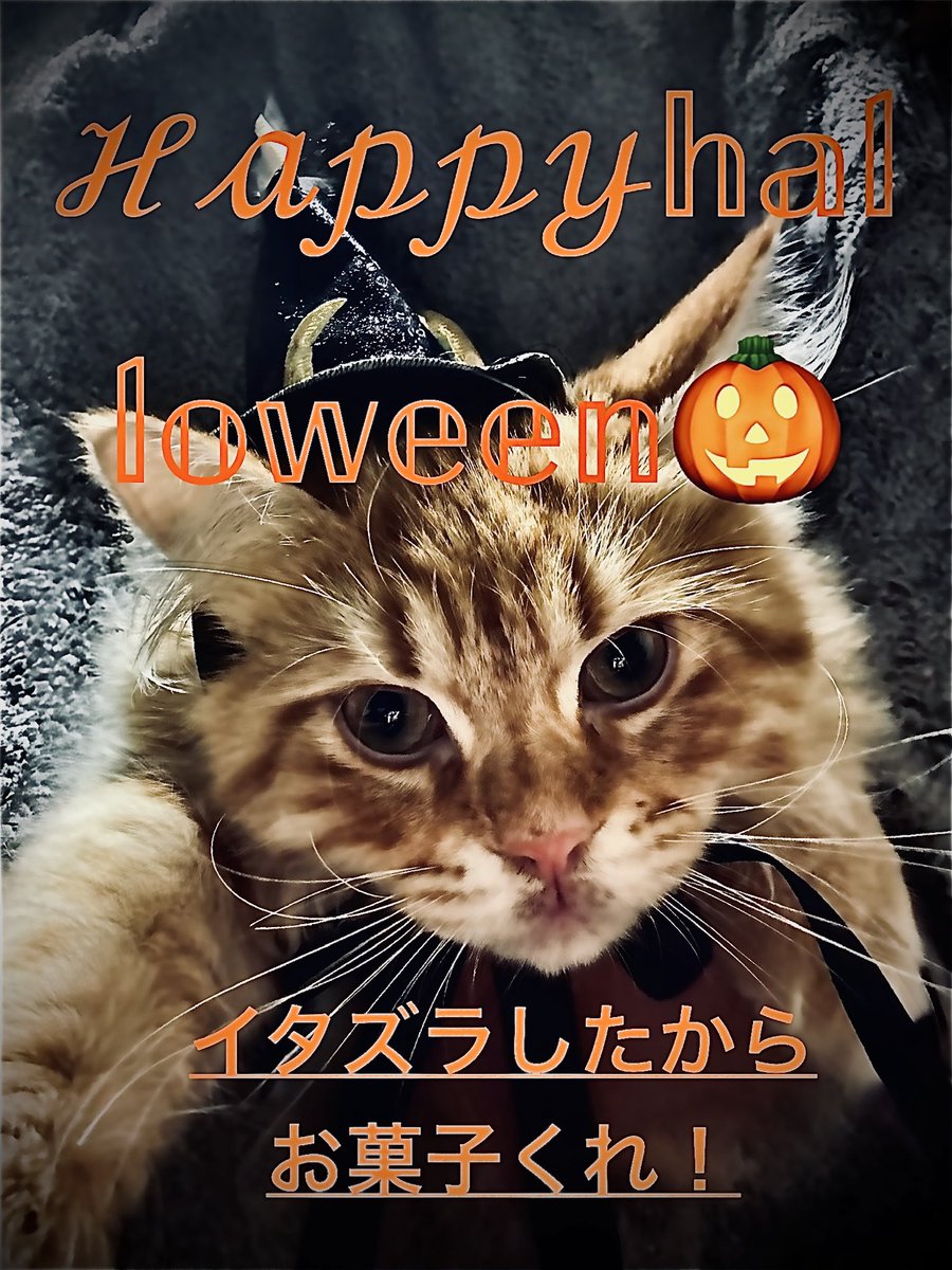 Gilcyamaro's tweet photo. https://t.co/nASClYOAq3