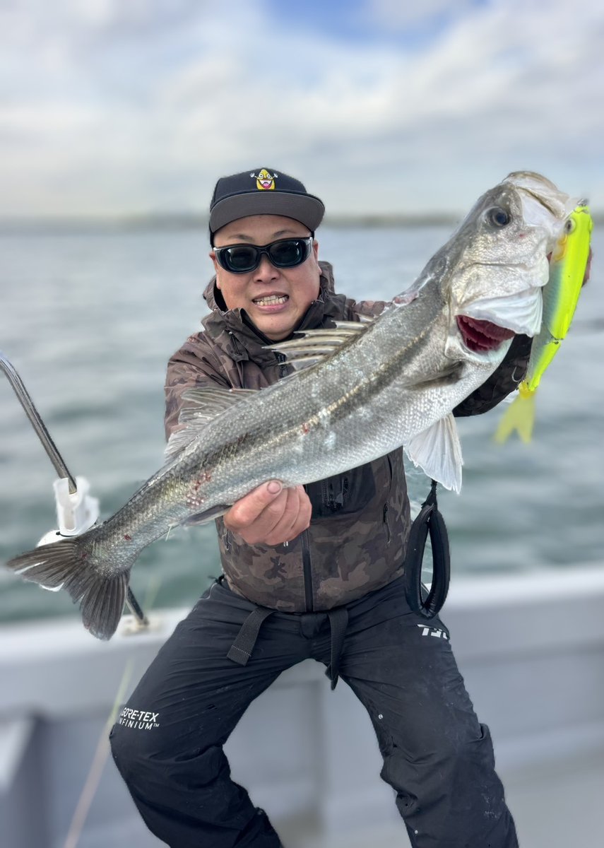 4日限定Large mouth Bass 壁掛け剥製 釣り好きtoshi on X