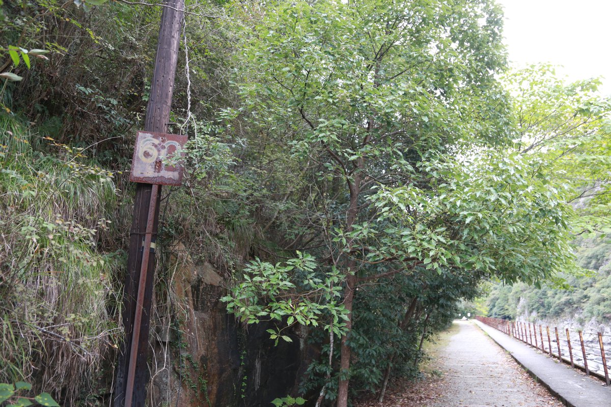 RM_MODELS_neko's tweet image. 関西で行楽スポットというと、やはり京都や奈良を思い浮かべる方も多いかと思いますが、混み合いやすいのが悩みどころ
そこで今回はレイル・ファンらしく廃線跡巡りをしつつ自然も味わえ、大阪駅からも比較的近いスポットをご紹介したいと思います（写真：福島鷺栖）
rail.hobidas.com/feature/527984/