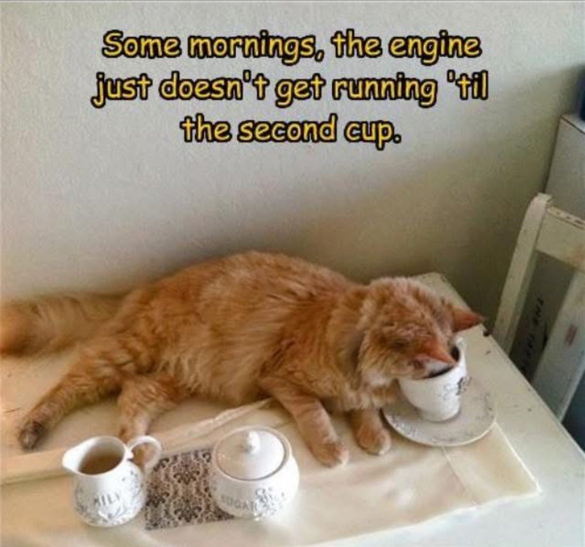 Happy Wednesday Everyone 😍😍☕️☕️☕️☕️