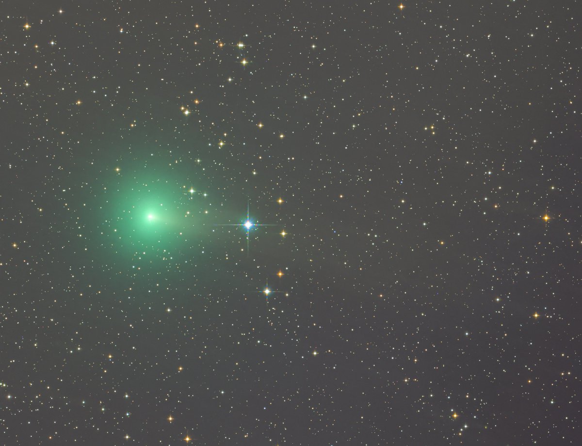 2025年10月27日に撮ったスワン彗星です。
スワンとついているけど白鳥ではないっすね。

#スワン彗星 #swancommet #C2025R2