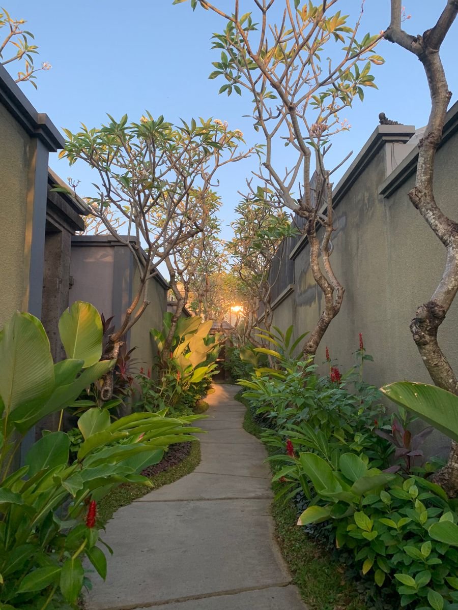 Landscapecture's tweet image. 