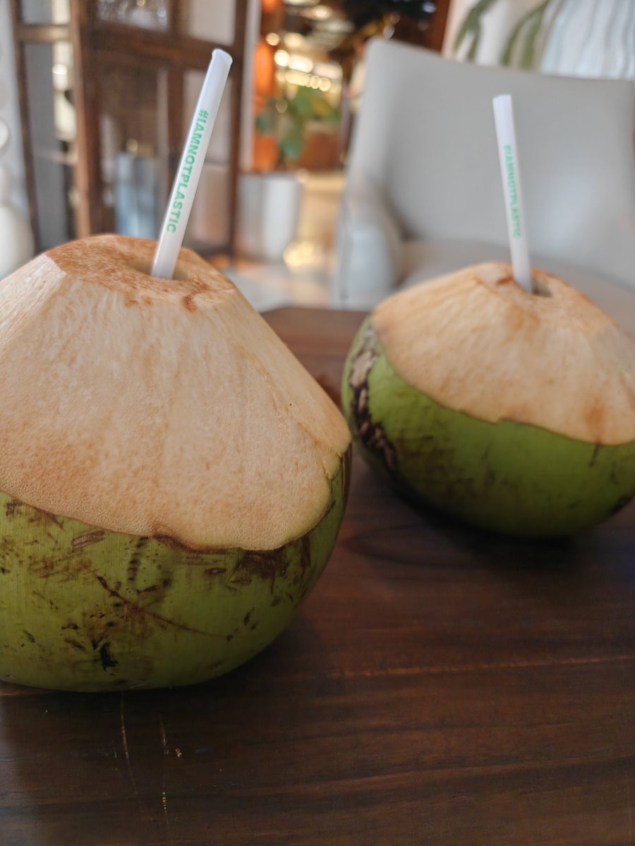 Bubbl3cunt's tweet photo. Be peaceful in Bali 🌴🥥 #IAMNOTPLASTIC https://t.co/Ke7Fjq5rcn