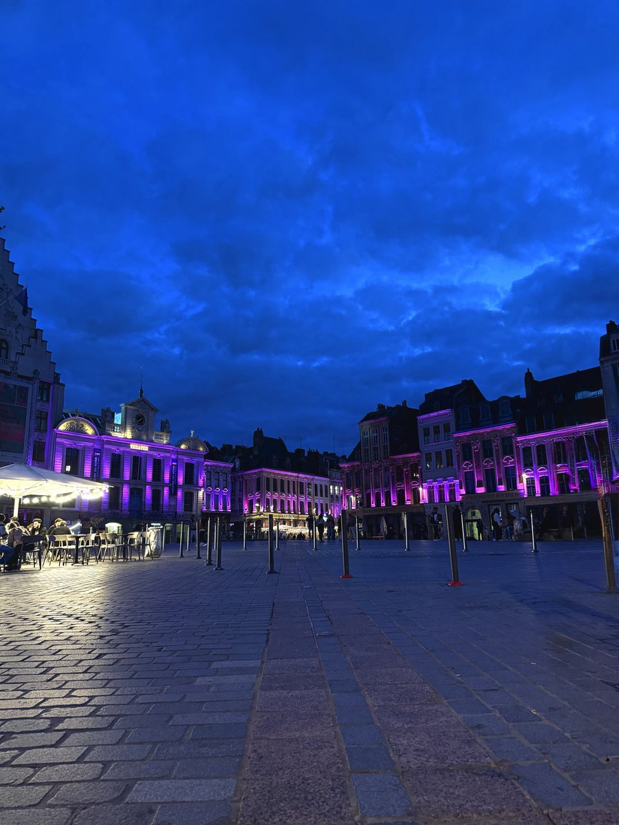 SolenGodde's tweet photo. Lille ma ville #OctobreRose #lille @lillefrance https://t.co/RUd8mb0SgV