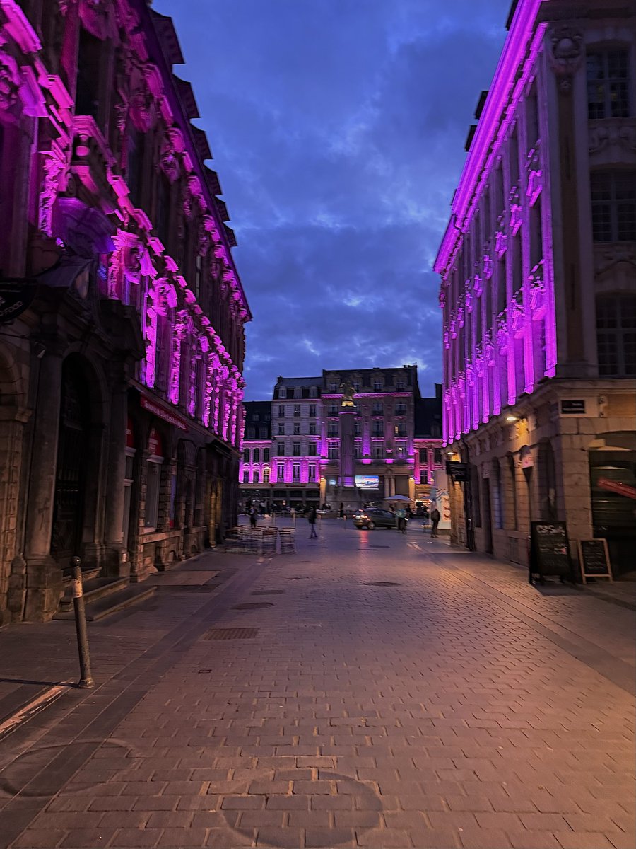 SolenGodde's tweet photo. Lille ma ville #OctobreRose #lille @lillefrance https://t.co/RUd8mb0SgV