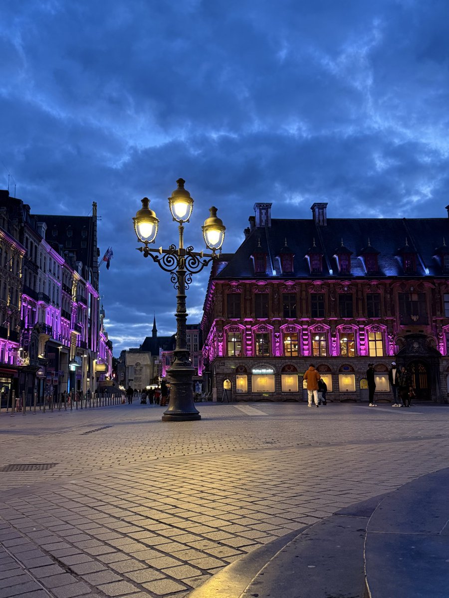 SolenGodde's tweet photo. Lille ma ville #OctobreRose #lille @lillefrance https://t.co/RUd8mb0SgV