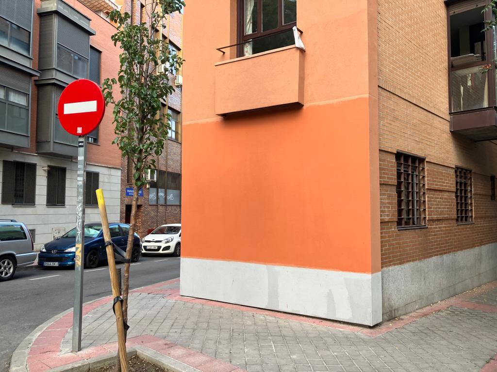 🕊️ En una esquina de la Calle Ánade colocamos un vinilo de un ánade del siglo XVIII.

Fue vandalizado, protegido por los vecinos, arrancado… y después, alguien lo dibujó de nuevo, a mano, más sencillo.
Días después lo pintaron todo, pero la historia ya había volado.