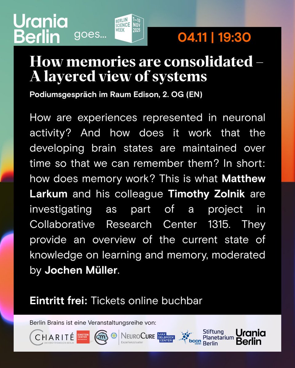Wie funktioniert unser Gedächtnis? Darüber sprechen 
<a href="/mattlark/">Matthew Larkum</a> &amp; Timothy Zolnik mit Jochen Müller. 🧠

”How memories are consolidated”:
Aus der Reihe #BerlinBrains, Teil des Programms der <a href="/BerlinSciWeek/">Berlin Science Week</a>.

04.11. | 19:30 | Urania Berlin
🎟️ Eintritt frei: uraniaberlin.reservix.de/p/reservix/eve…