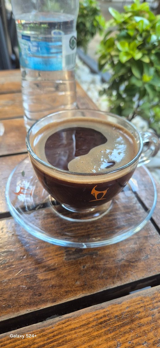 Duble Türk kahvesini bu nescafe fincaninda veren <a href="/SoulmateTR/">Soulmate Coffee</a> tüm zevki bozuyor. Adana Atatürk caddesi şubesinde defalarca söyledim,tarsusi vermeniz gerekiyor en azından diye.Diğer şubeler verirken neden olmuyor ki.