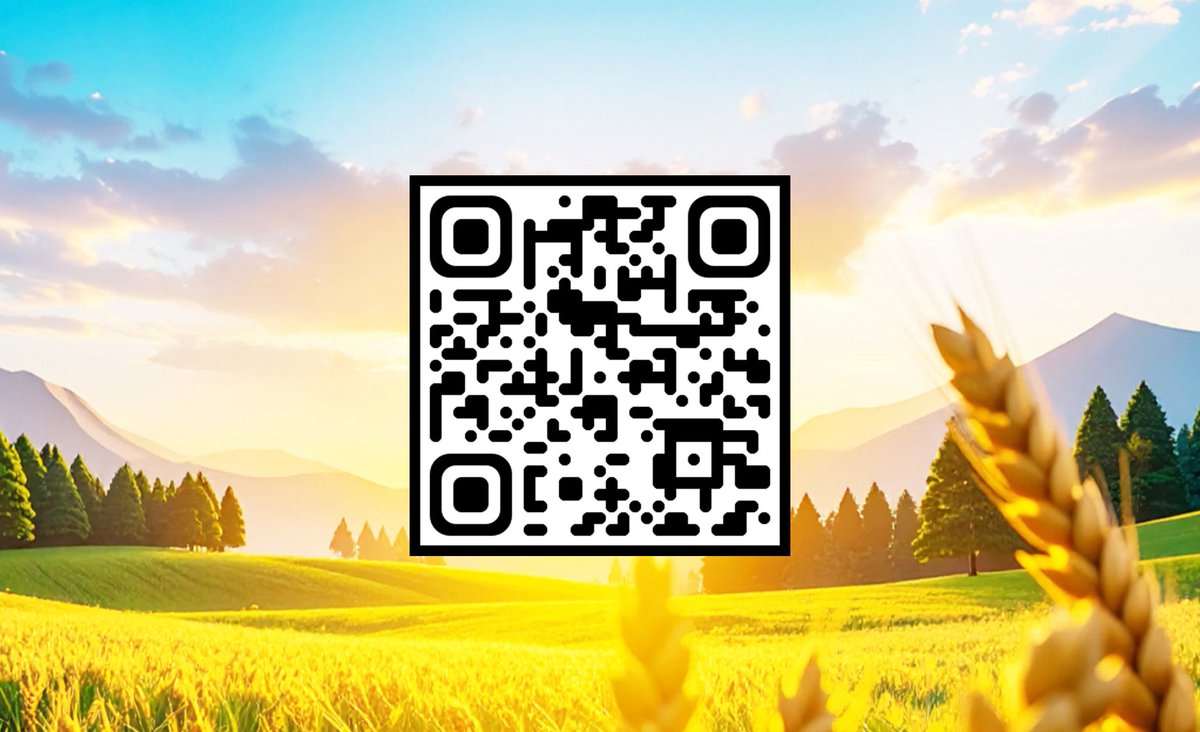 xroobiz's tweet photo. https://t.co/nsesNjp4Vm