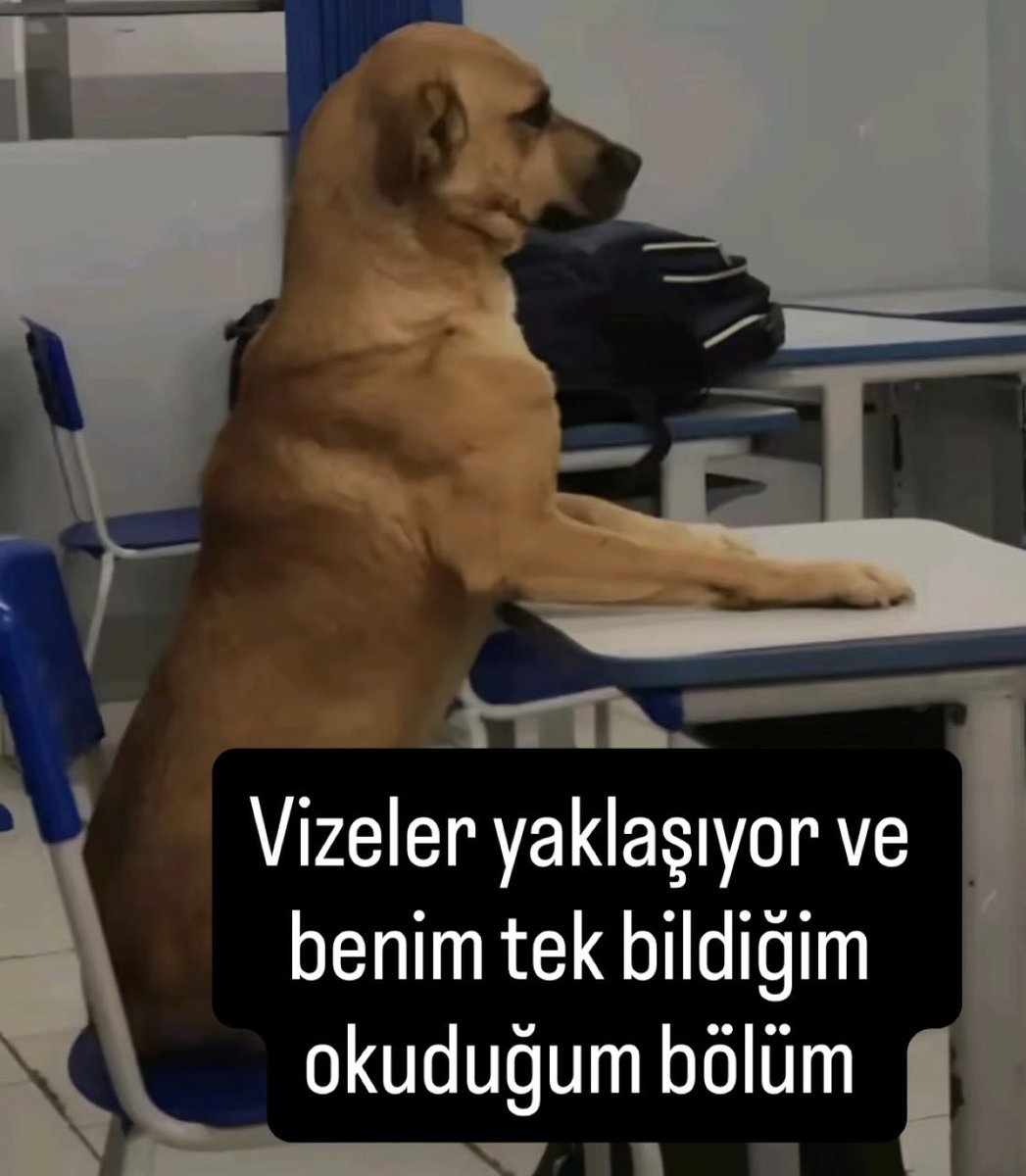 üni caps (@universitycaps) on Twitter photo 