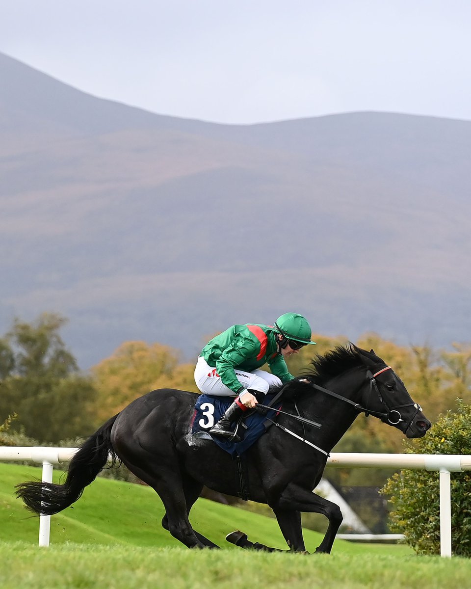 Aga Khan Studs tweet media