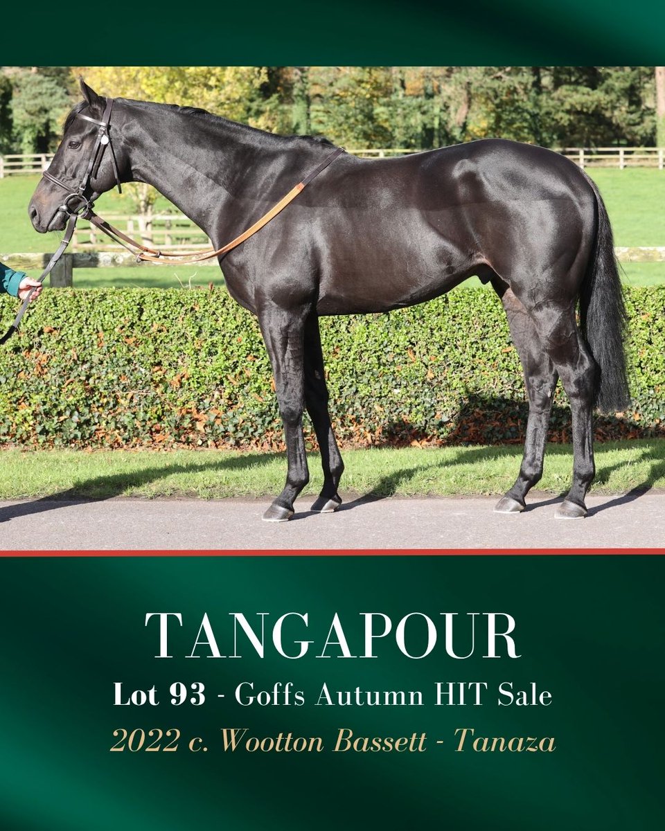 Aga Khan Studs tweet media