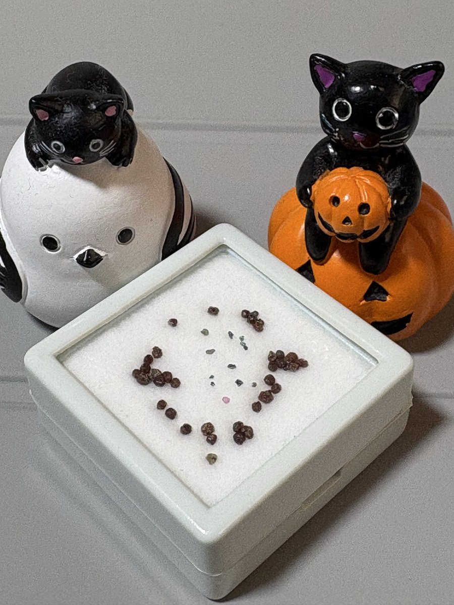 ルビーページ 17PCS Double Square 8 Point Star Bit Set (Magnetic Heads