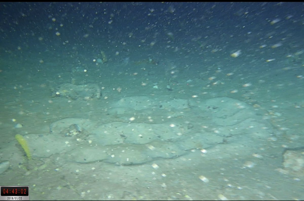 RussConnelly_'s tweet photo. @Dr_MTaylor @EssexLifeSci @nektonmission #flotillafoundation @WeddellSeaExped https://t.co/6wgu7niEVE