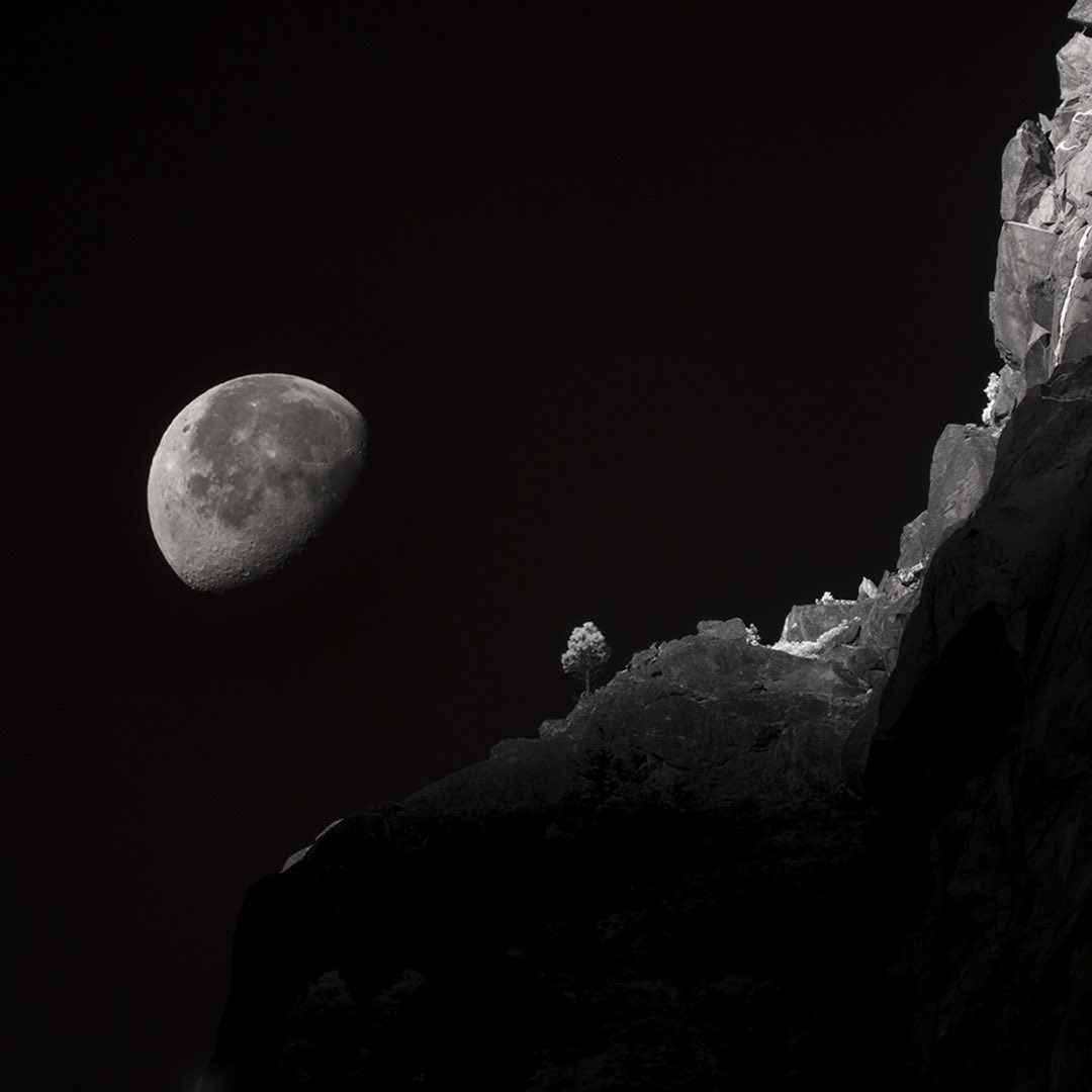 Turbo touching grass in Yosemite this week. Capturing the final footage to complete my first art film that brings my photographs from “sun, water, being” to life.
