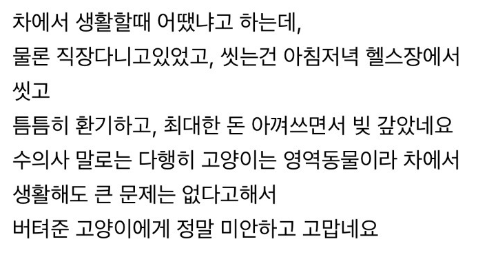 글쓴이분이 쓴 글 보면 고양이랑 차생활 하는게 걱정되었는지 수의사한테도 물어봤었대요 영역동물이라 생활해도 괜찮다는 말 듣고 화장실칸을 앞, 밥먹는칸을 뒷좌석으로 공간을 조금이라도 분리해서 버틴것 같더라구요 

theqoo.net/hot/3967968621