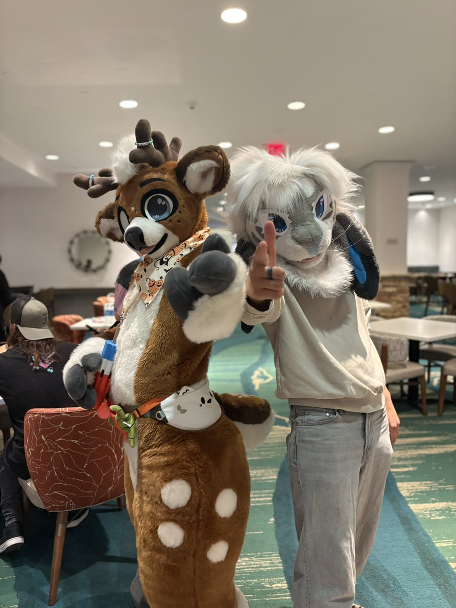 clancy🔜TFS tweet media