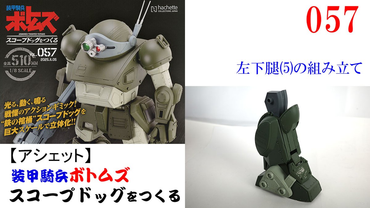 ラッコ少年 (@seaotterboy0323) / Posts / X