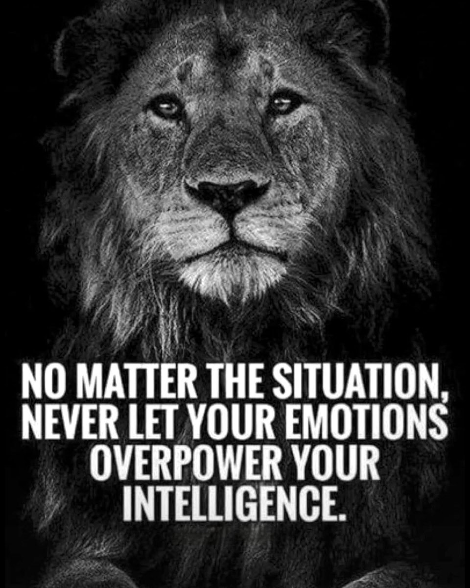 Good Wednesday morning.