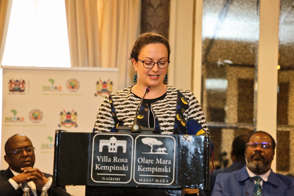 NepadAprmKenya's tweet image. Experts from #AUC, @NEPAD_Agency, @UNDP &amp;amp; @APRMorg explore the 2nd Ten-Year Implementation Plan of #Agenda2063, reflecting on key lessons from the first plan and identifying priority indicators to drive Moonshot 3

#APRMWorkshop #SDG16 #Governance

@ModestThinkin
@TawfikHamouda