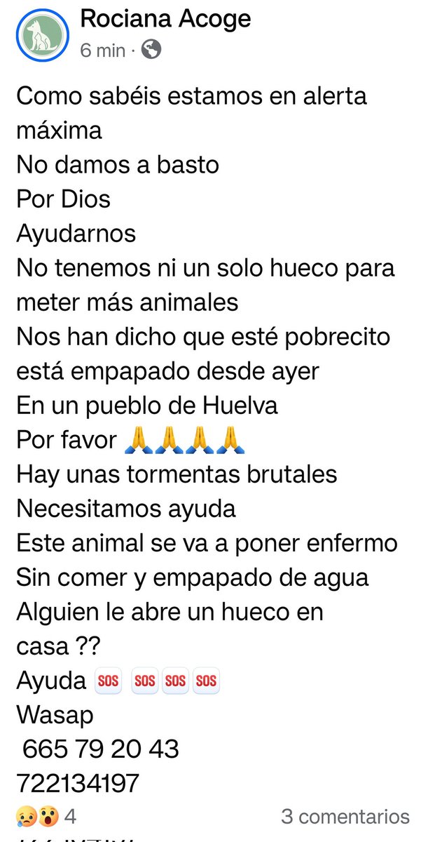ALERTA MÁXIMA
TORMENTAS BRUTALES
La asociación
Rociana Acoge
de Rociana del Condado 
en #HUELVA 
🚨está pidiendo AUXILIO🚨
Necesitan ACOGIDAS

Este pequeño
lleva ahí empapado
desde ayer 😥
Si puedes cobijarlo
Contacto en la foto.