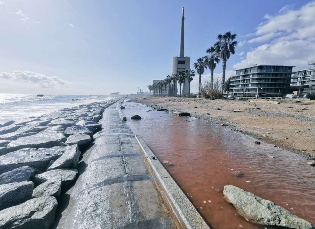 francesc alfambra tweet media