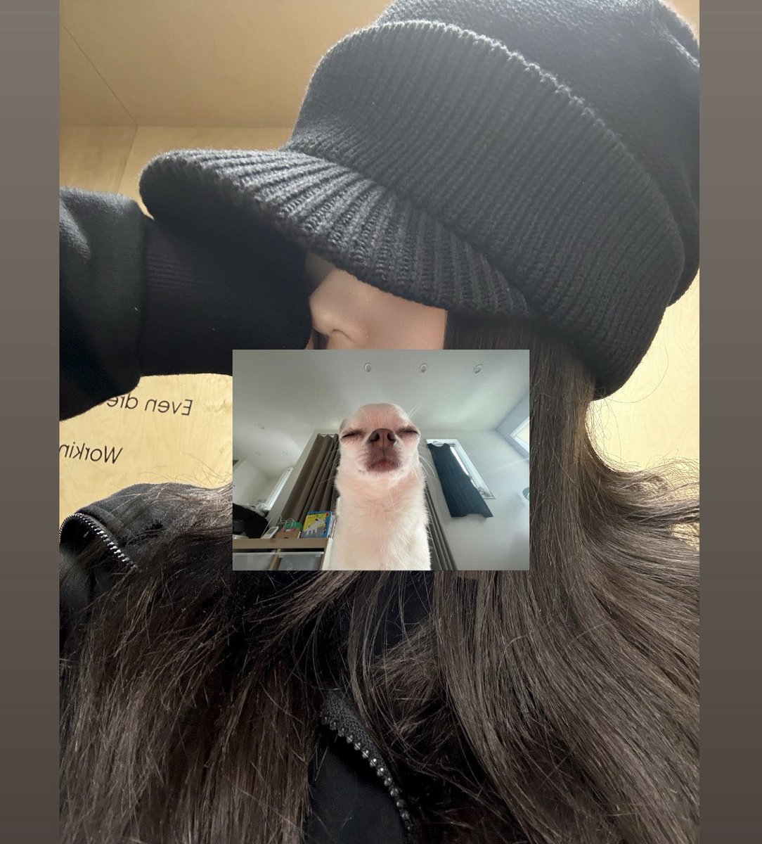 ໊ tweet media
