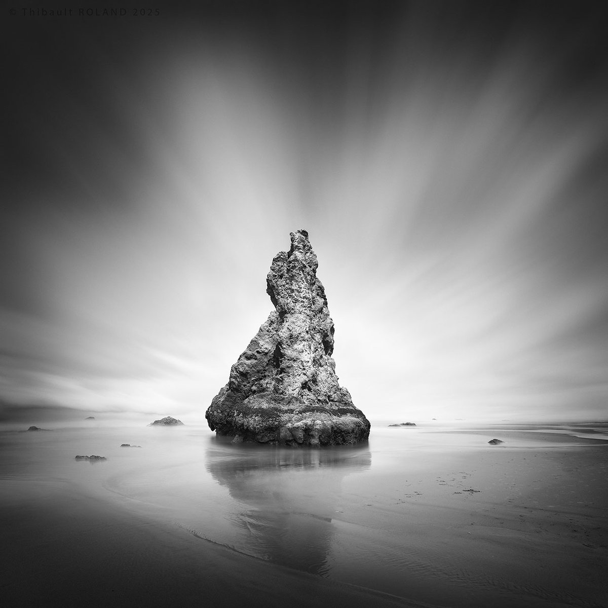 ThibaultROLAND's tweet photo. 📸 October 2025 Thibault Roland Fine Arts Newsletter: Howling Dog 📸 - https://t.co/oLclwOpz1q https://t.co/udX8tC0JJH