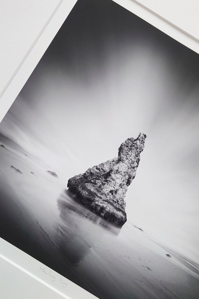 📸 October 2025 Thibault Roland Fine Arts Newsletter: Howling Dog 📸 - mailchi.mp/7a5ee5c915ed/t…