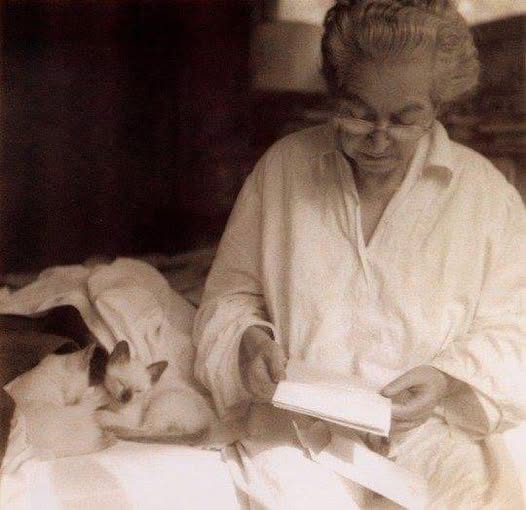 "Donde haya un árbol que plantar, plántalo tú. Donde haya un error que enmendar, enmiéndalo tú. Donde haya un esfuerzo que todos esquivan, hazlo tú. Sé tú el que aparta la piedra del camino".
Gabriela Mistral