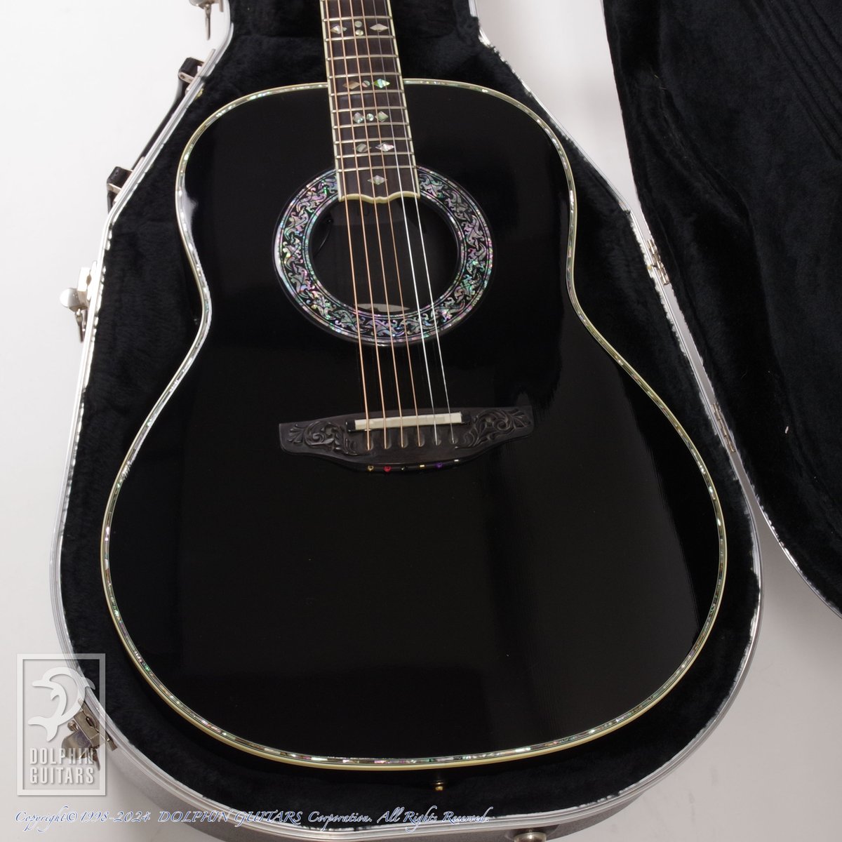 ドルフィンギターズ on X