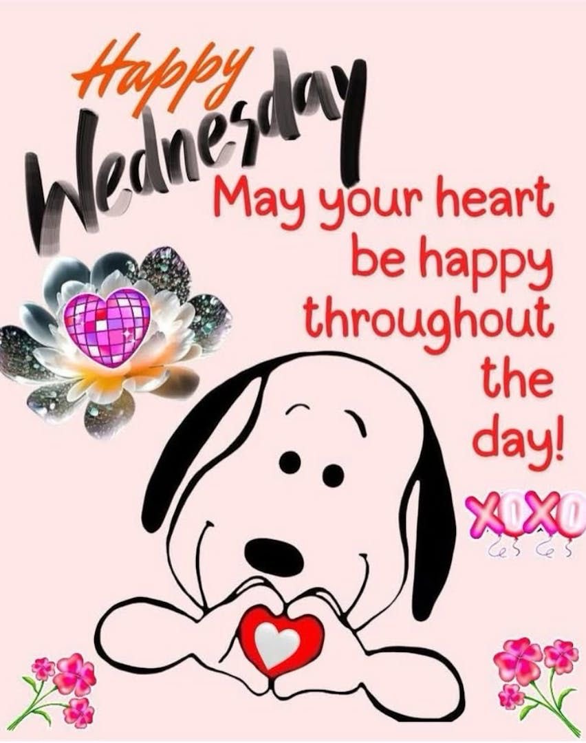 Good morning friends wishing you a blessed and peaceful and productive day❤️😘