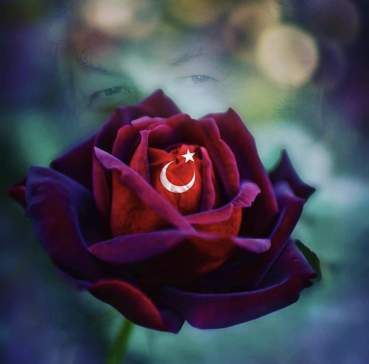 CPasaHasan's tweet photo. “Kanlarıyla o bayrağı oluşturanların vatanıdır TÜRKİYE.
İslâm, Türkiye ile tâcı olacaktır insanlığın!”
🇹🇷 https://t.co/DhKlWV6Grl