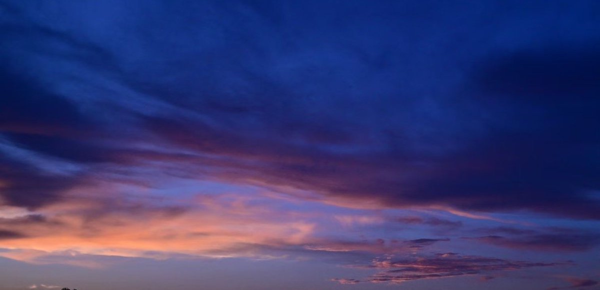 灰の人形 (@emberforlive) on Twitter photo 