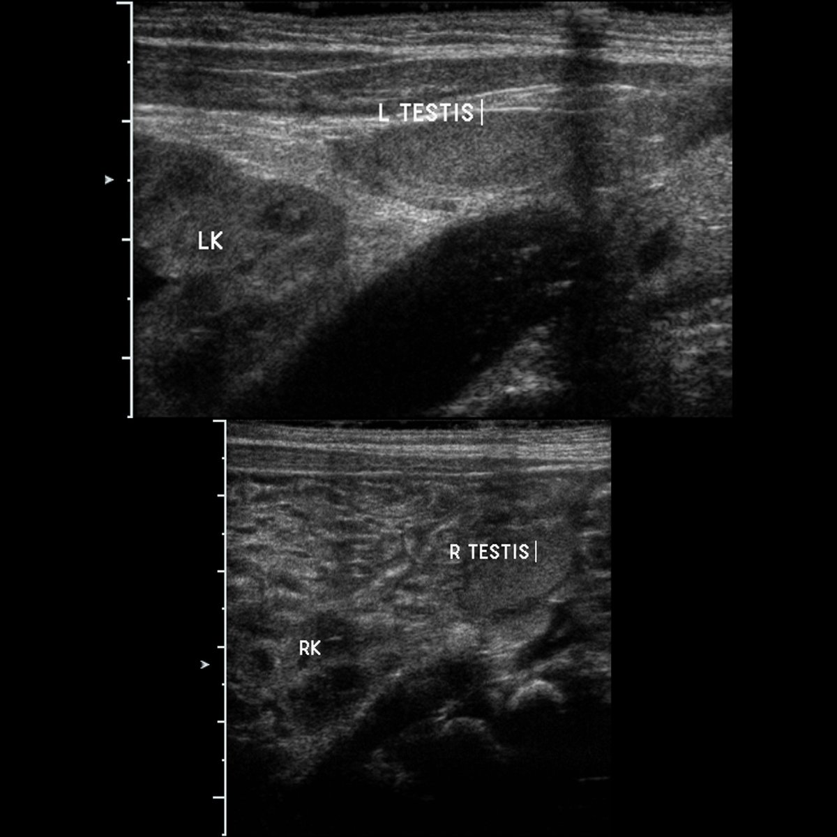 Pediatric Imaging tweet media