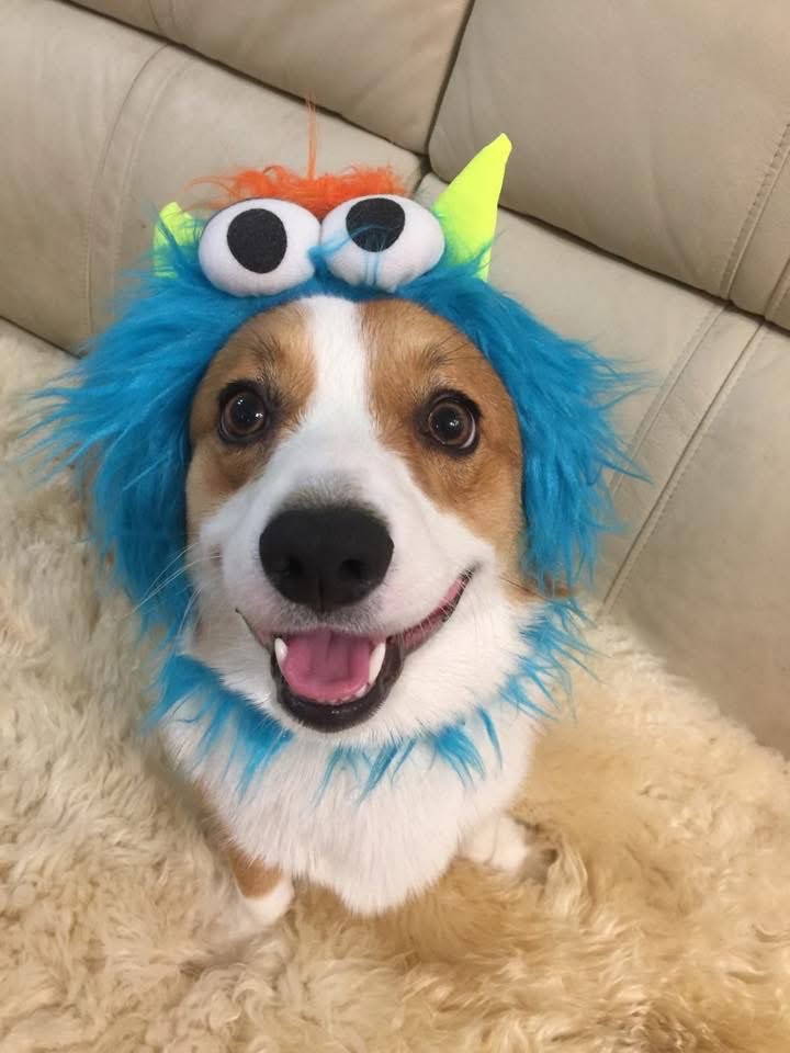 たいみん tweet media