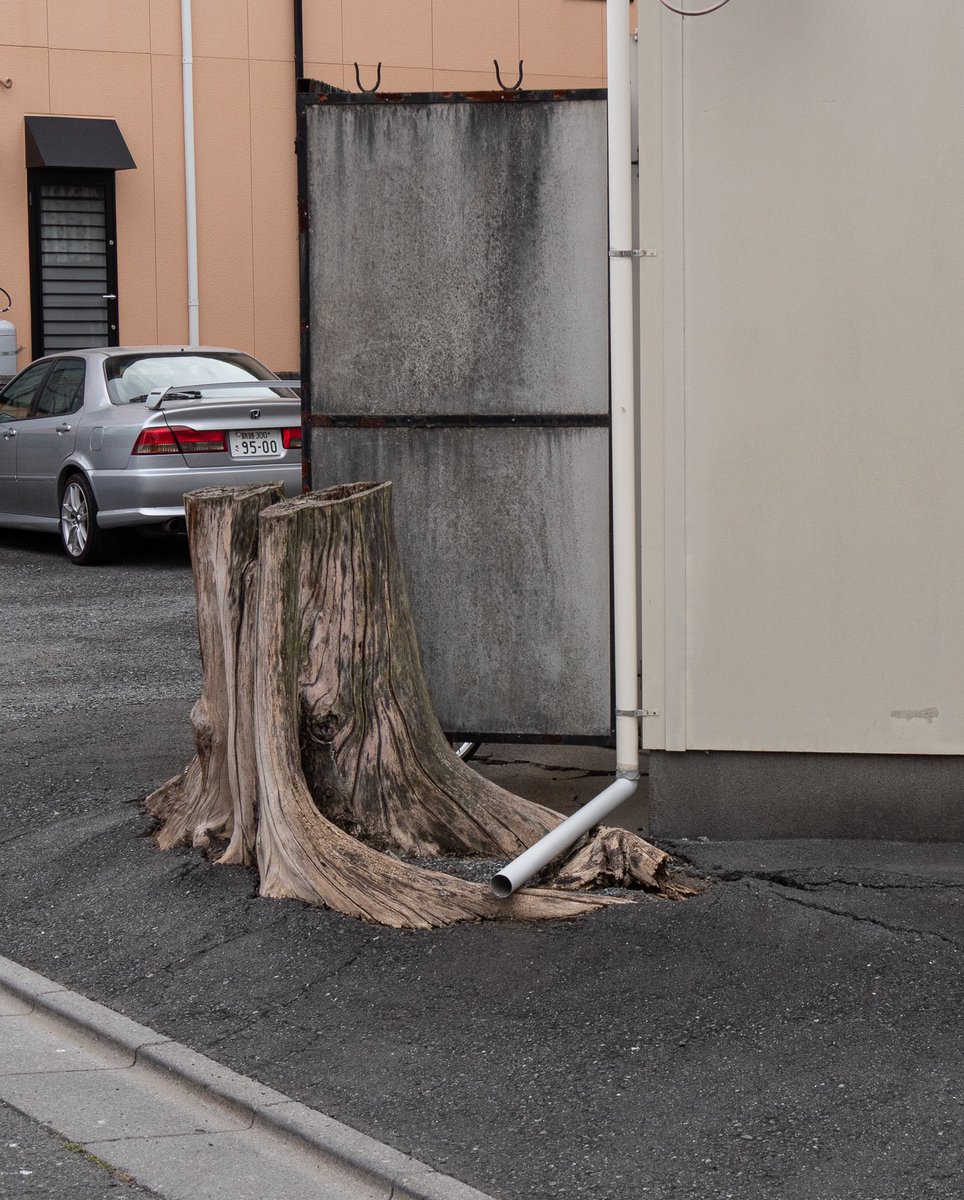 たけしページ ちば たけし たけし (@xxxxx88takeshi) / X