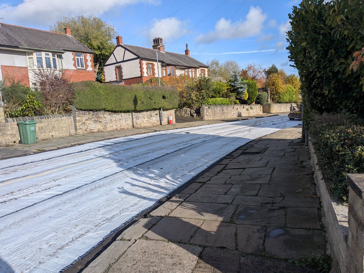 seanbamforth's tweet image. They're redoing my road. Weirdly they're starting with ground cover.